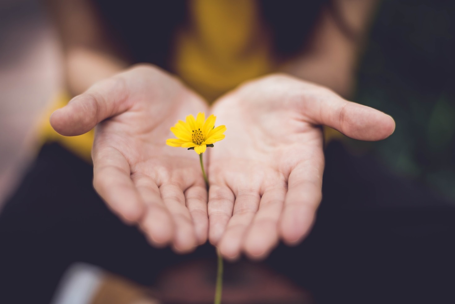 How Walking Mindfully Enhances Mental Well-Being