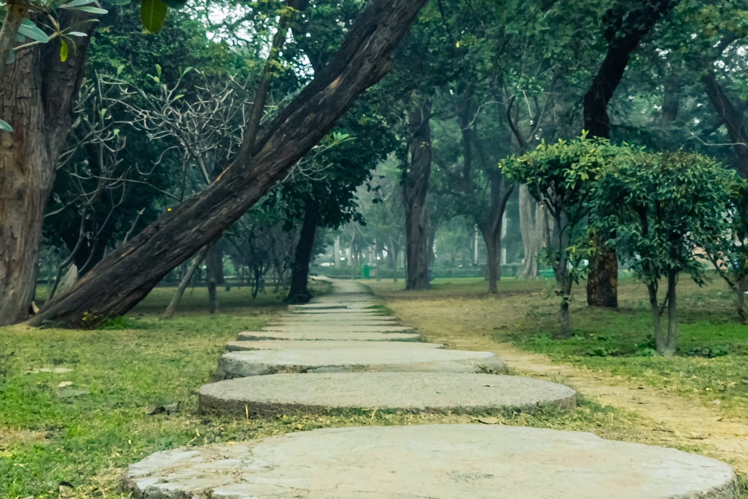 The Connection Between Walking and Inner Harmony
