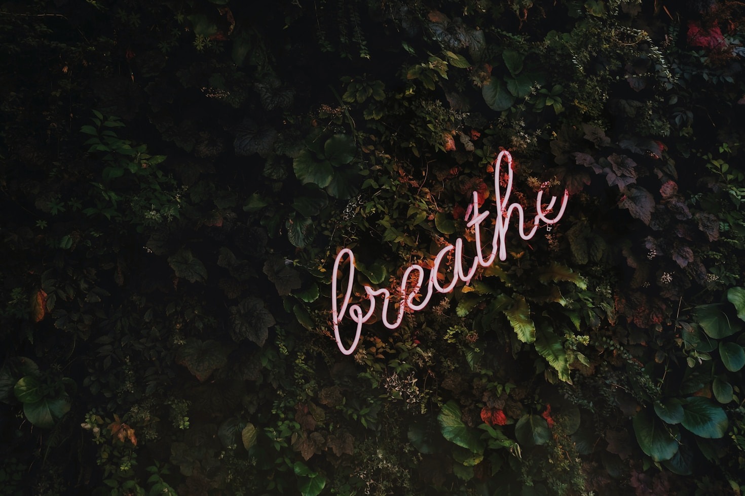 Mindful Practices for a More Joyful Life